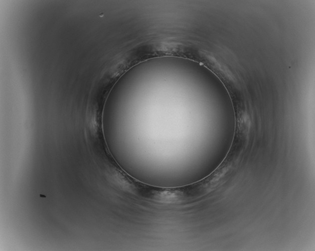 X0000112370566200908201504