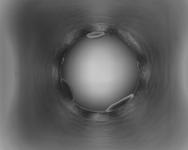 X0000112370568200908201504