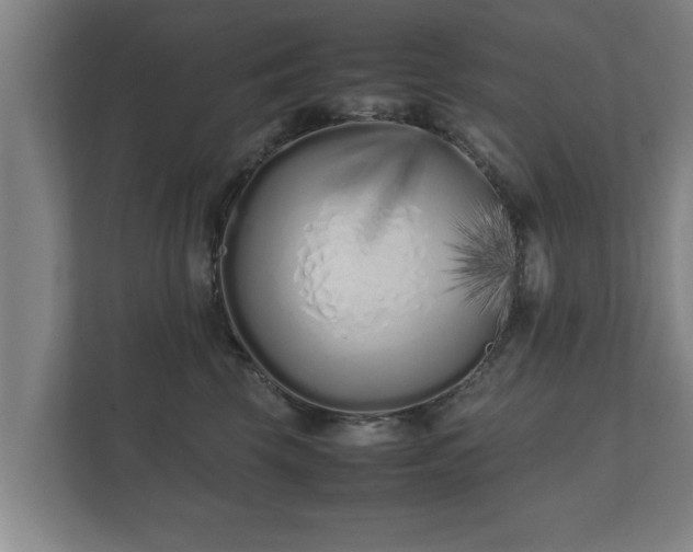 X0000112370569200908201504
