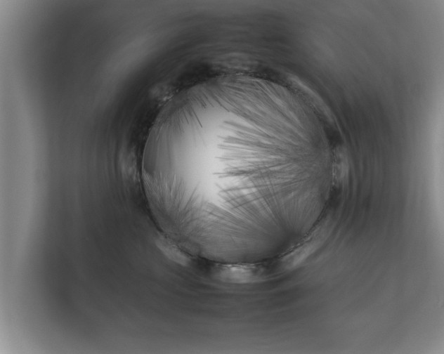X0000112370573200908201504