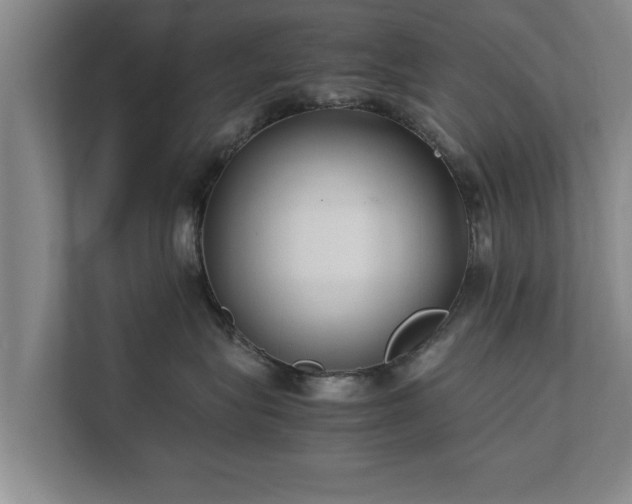 X0000112370575200908201504