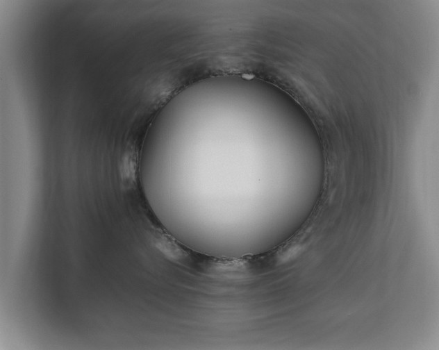 X0000112370576200908201504