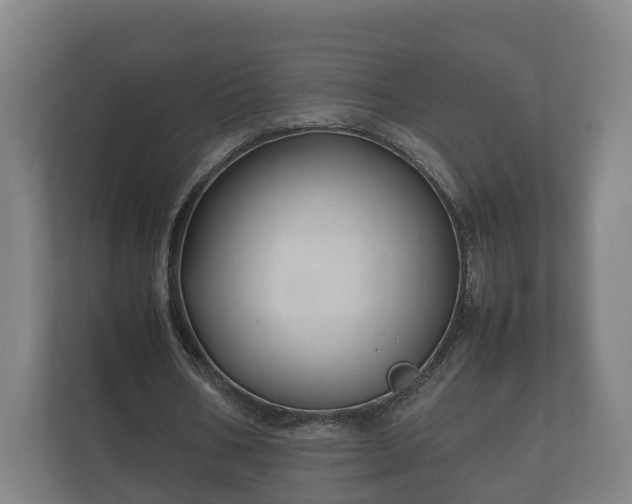 X0000112370578200908201504