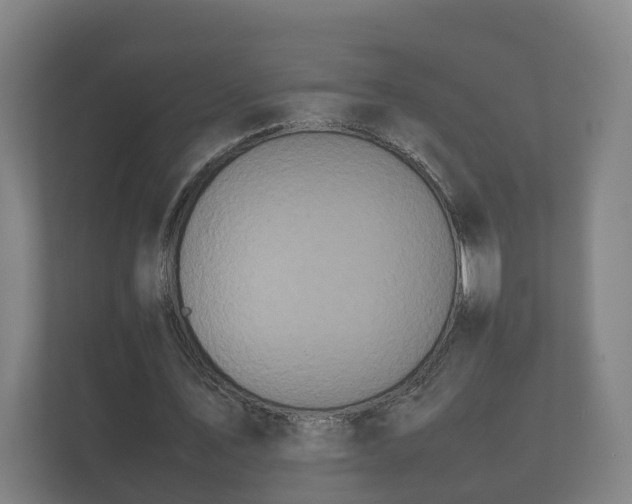 X0000112370579200908201504