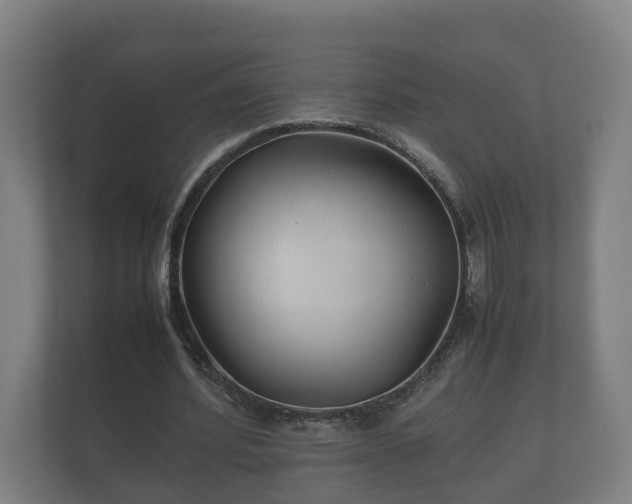 X0000112370580200908201504