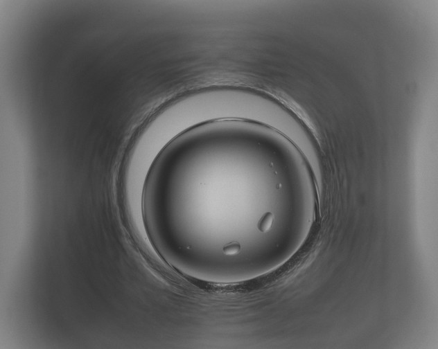 X0000112370581200908201504