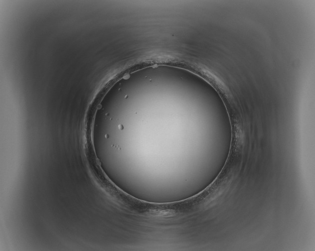 X0000112370582200908201504