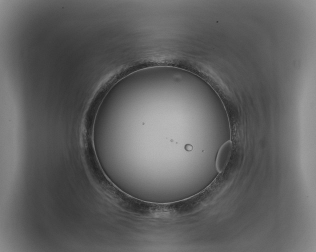 X0000112370587200908201504