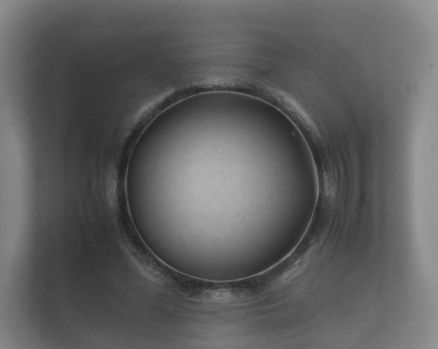 X0000112370588200908201504