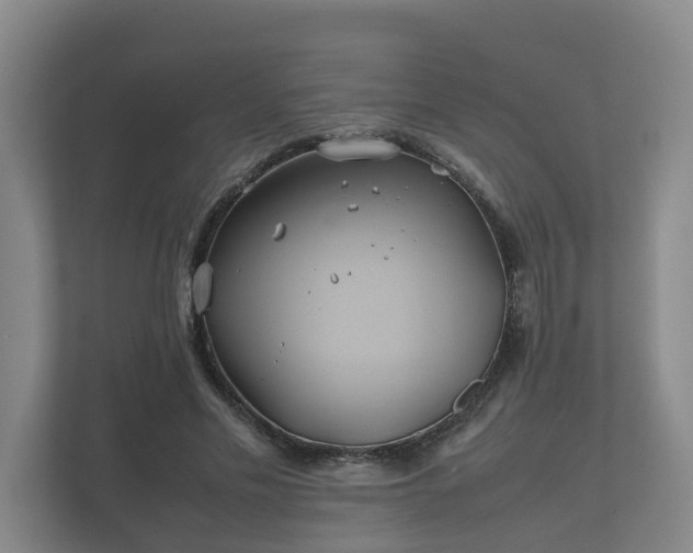 X0000112370589200908201504