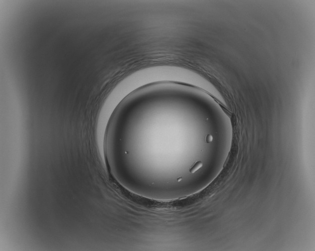 X0000112370595200908201504