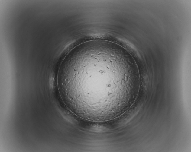 X0000112370596200908201504