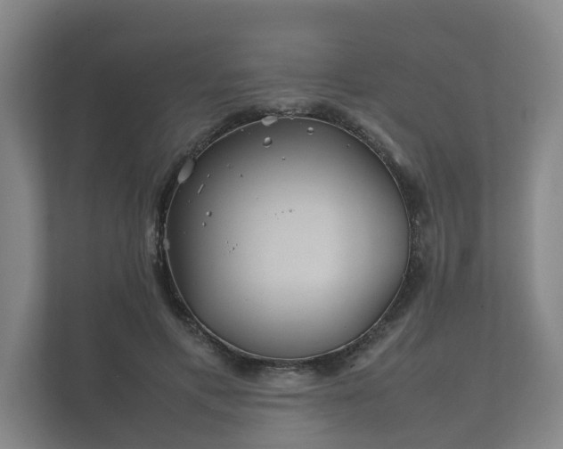 X0000112370597200908201504