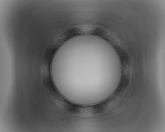 X0000112370599200908201504