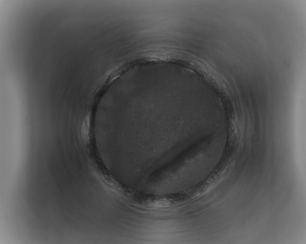 X0000112370600200908201504