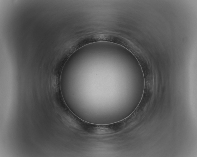 X0000112370605200908201503