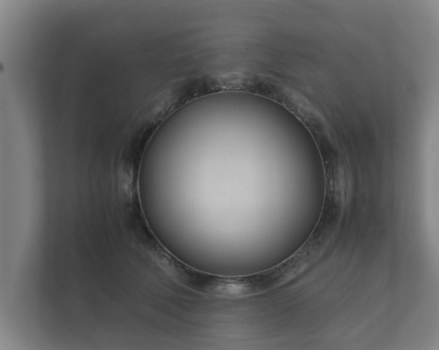 X0000112370610200908201503