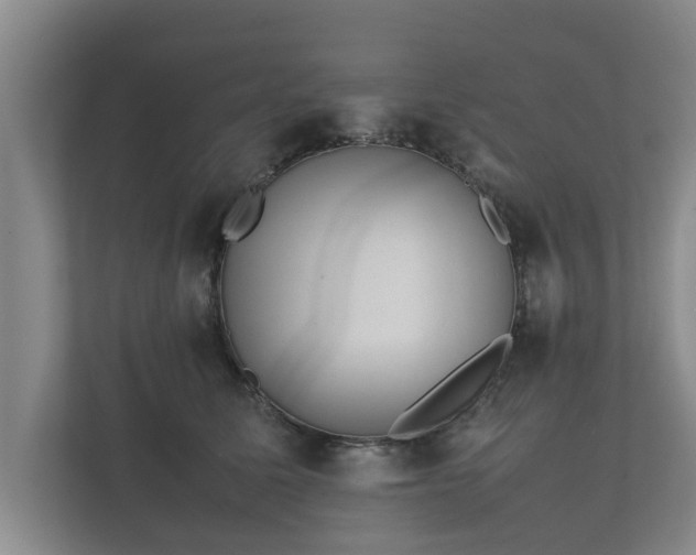 X0000112370611200908201503