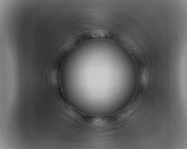 X0000112370616200908201503