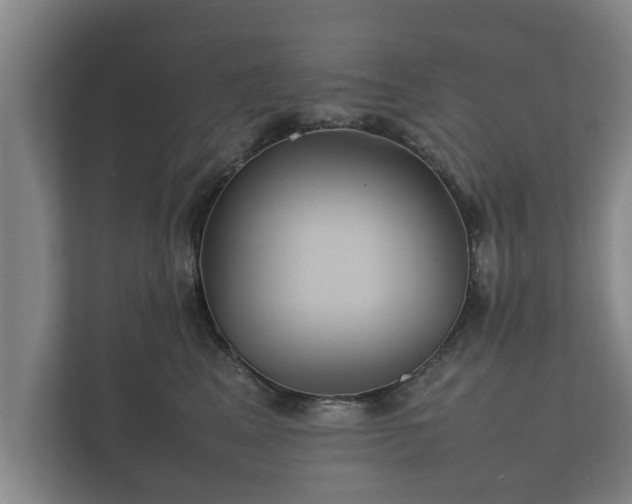 X0000112370617200908201503