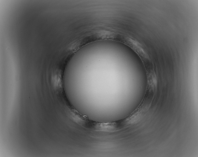 X0000112370622200908201503