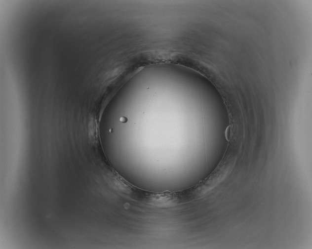 X0000112370624200908201503