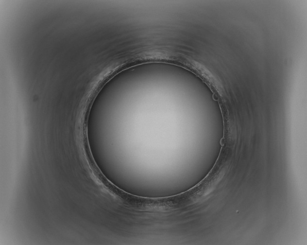 X0000112370625200908201503