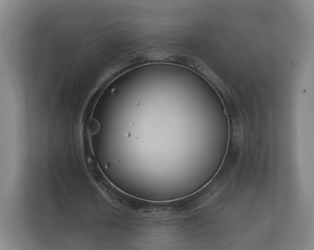 X0000112370626200908201503