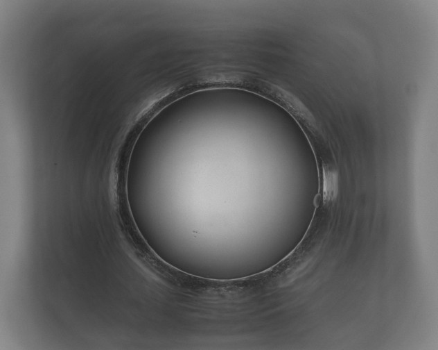 X0000112370627200908201503