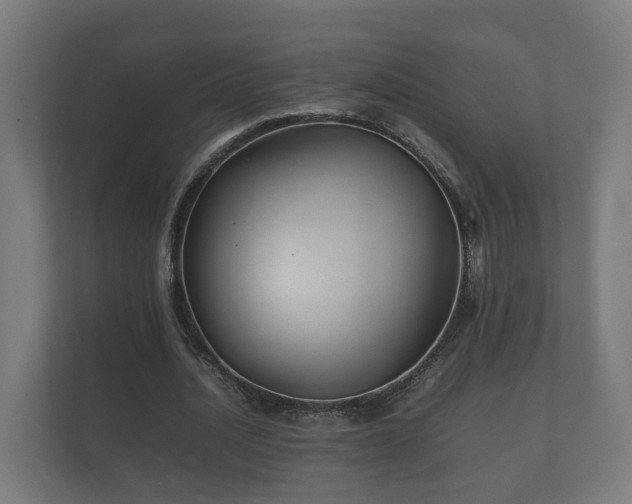 X0000112370628200908201503