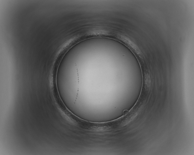 X0000112370629200908201503