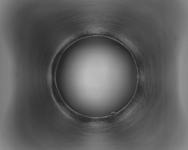 X0000112370630200908201503