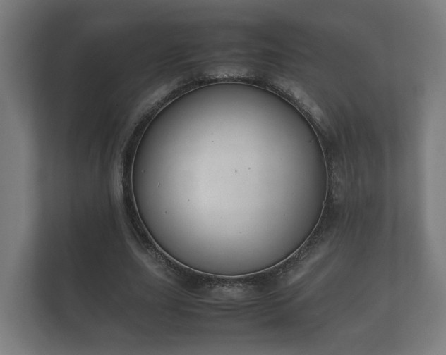 X0000112370631200908201503