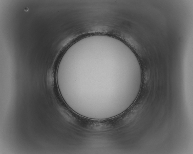 X0000112370632200908201503