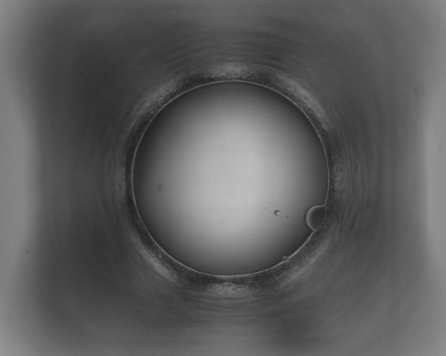 X0000112370633200908201503