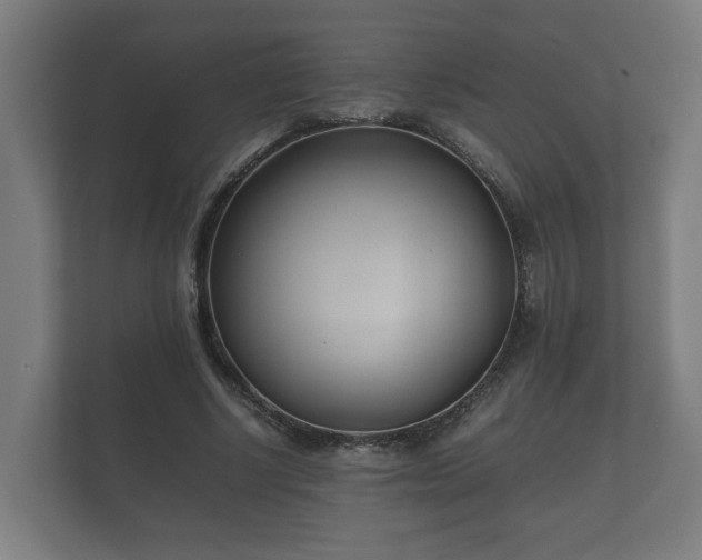 X0000112370634200908201503