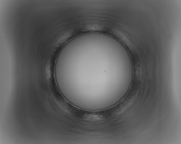 X0000112370635200908201503