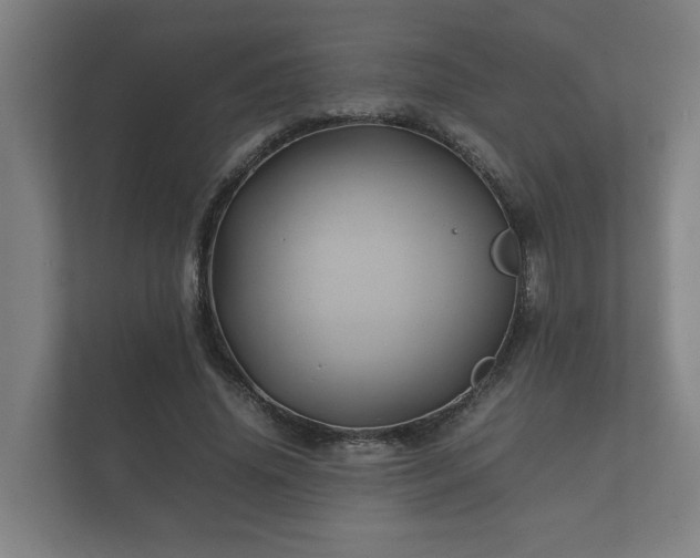 X0000112370636200908201503