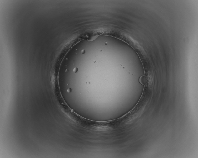 X0000112370637200908201503