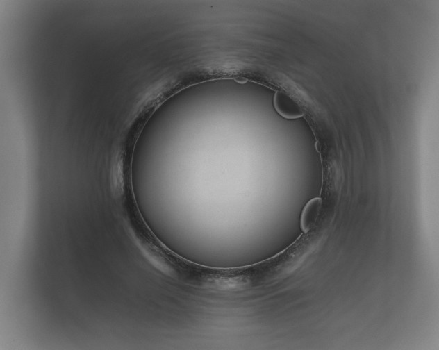 X0000112370638200908201503