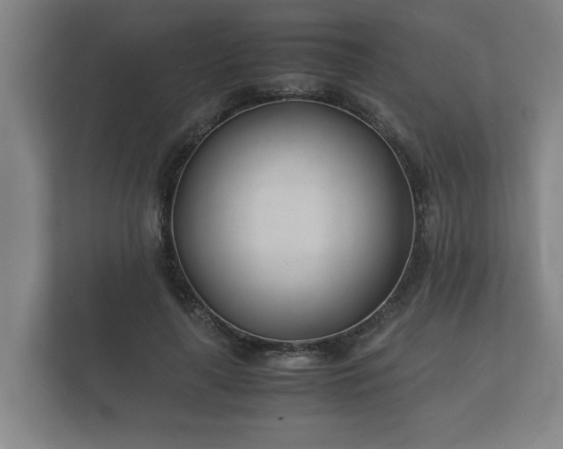 X0000112370643200908201503