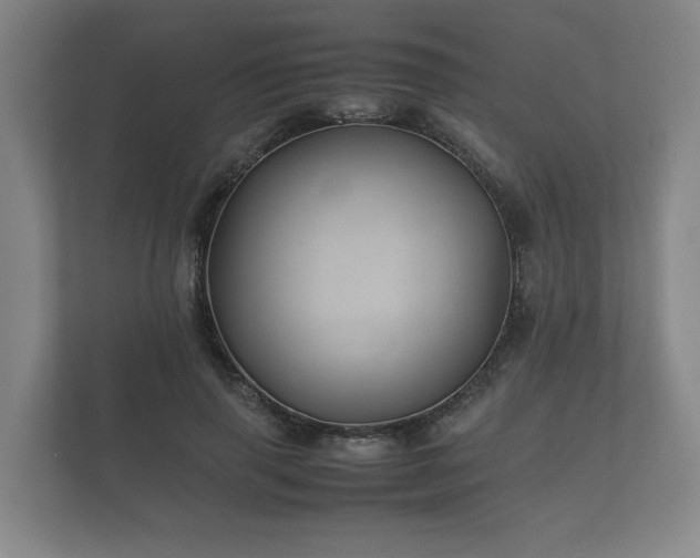 X0000112370645200908201503