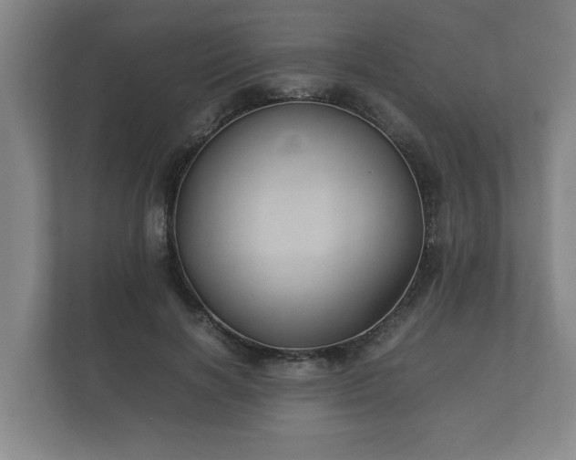 X0000112370646200908201503