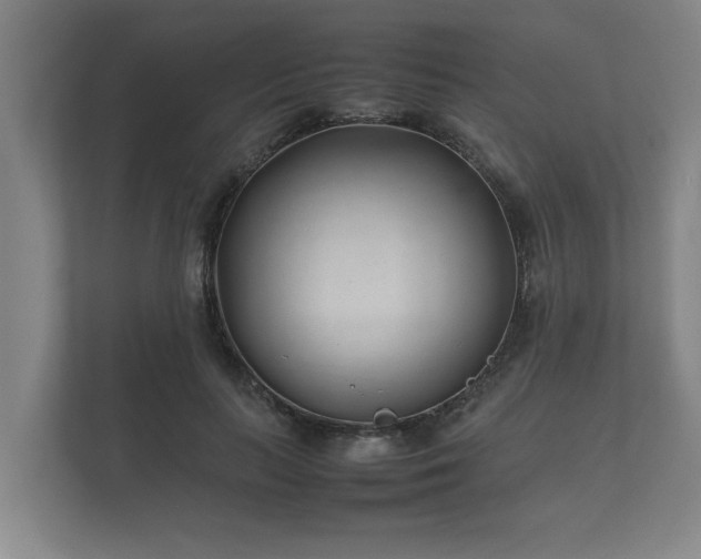 X0000112370647200908201503