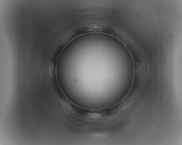 X0000112370649200908201503