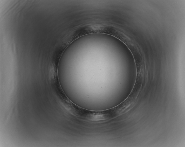 X0000112370651200908201503