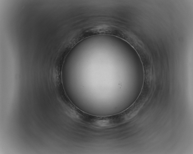 X0000112370653200908201503