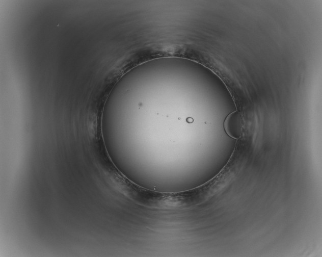 X0000112370656200908201503