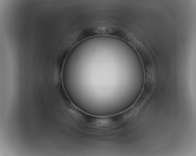 X0000112370659200908201503