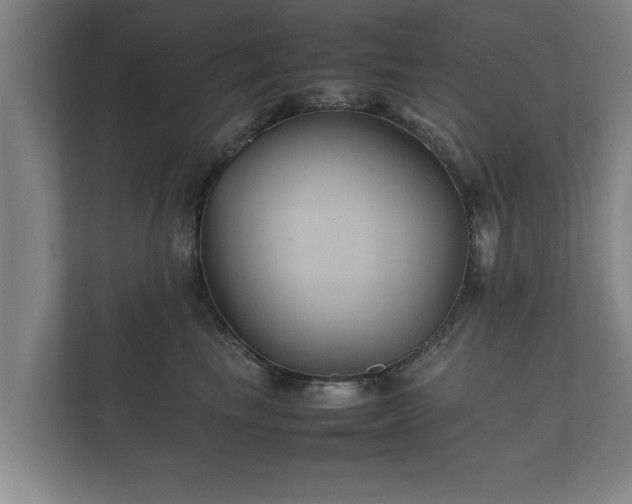 X0000112370665200908201503